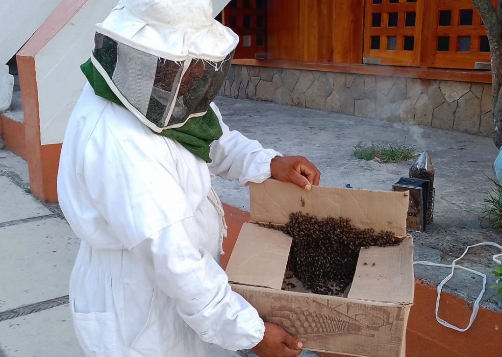 Ayuntamiento con personal capacitado en combatir enjambres de abejas